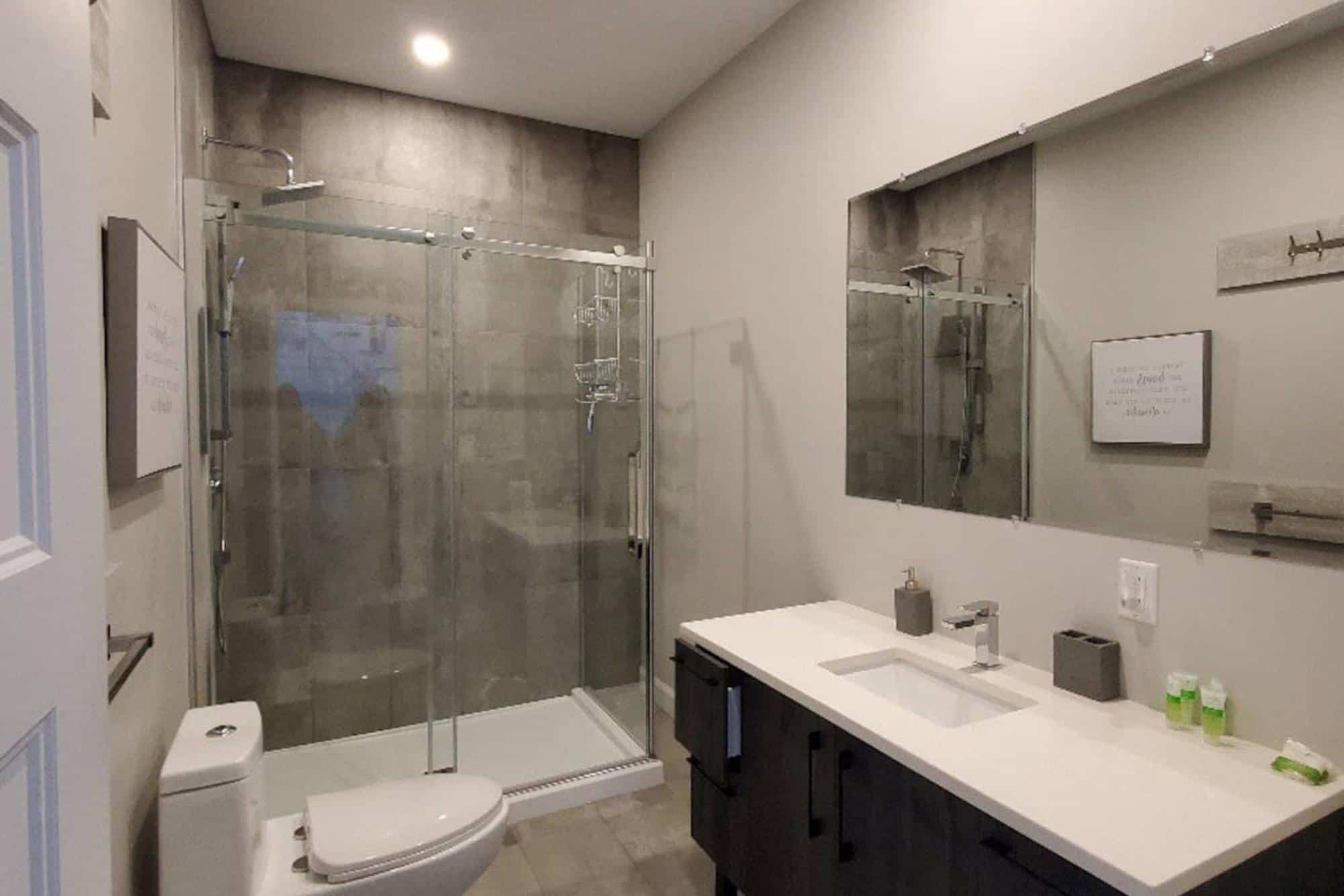 TOILETTE LE DISTINGUÉ